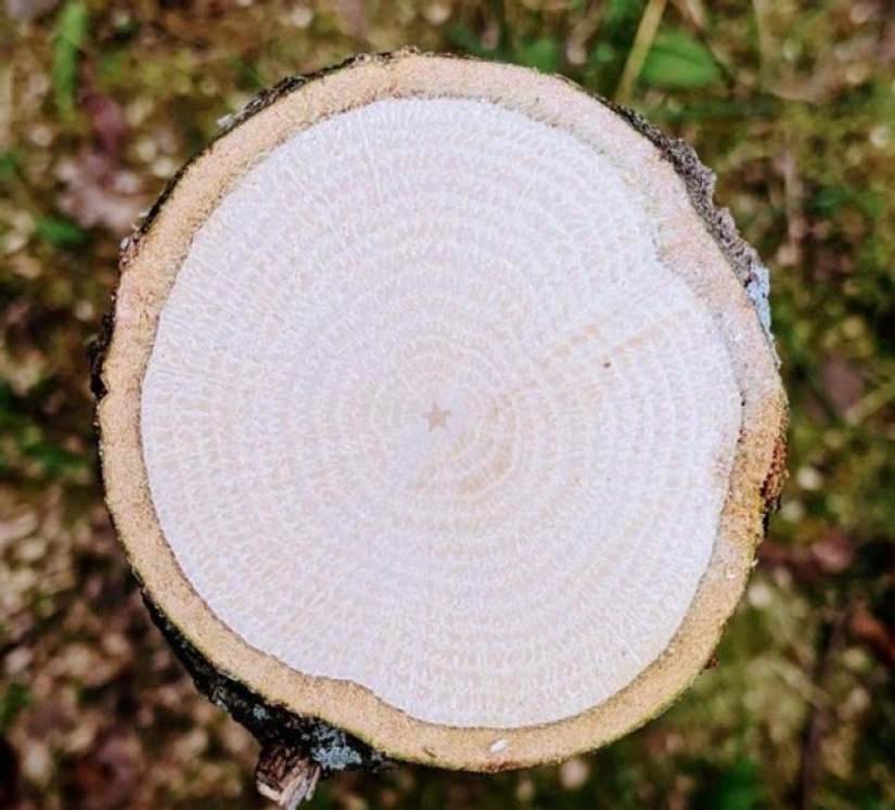 15 Photos That Can Calm Your Inner Perfectionist