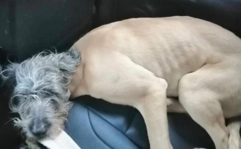 15 photos that can confuse even the most rational person