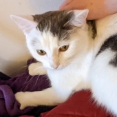 15 photos that can confuse even the most rational person