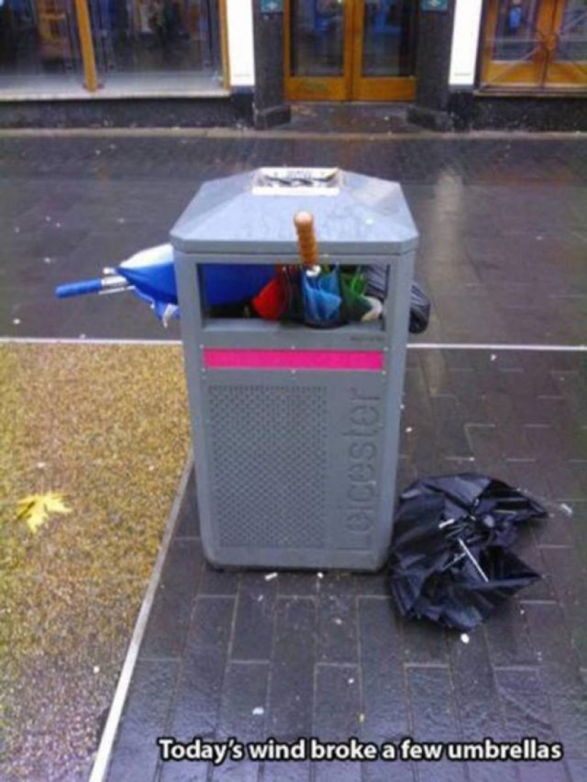 15 photos that prove the wind has a sense of humor