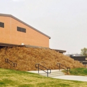 15 photos that prove the wind has a sense of humor