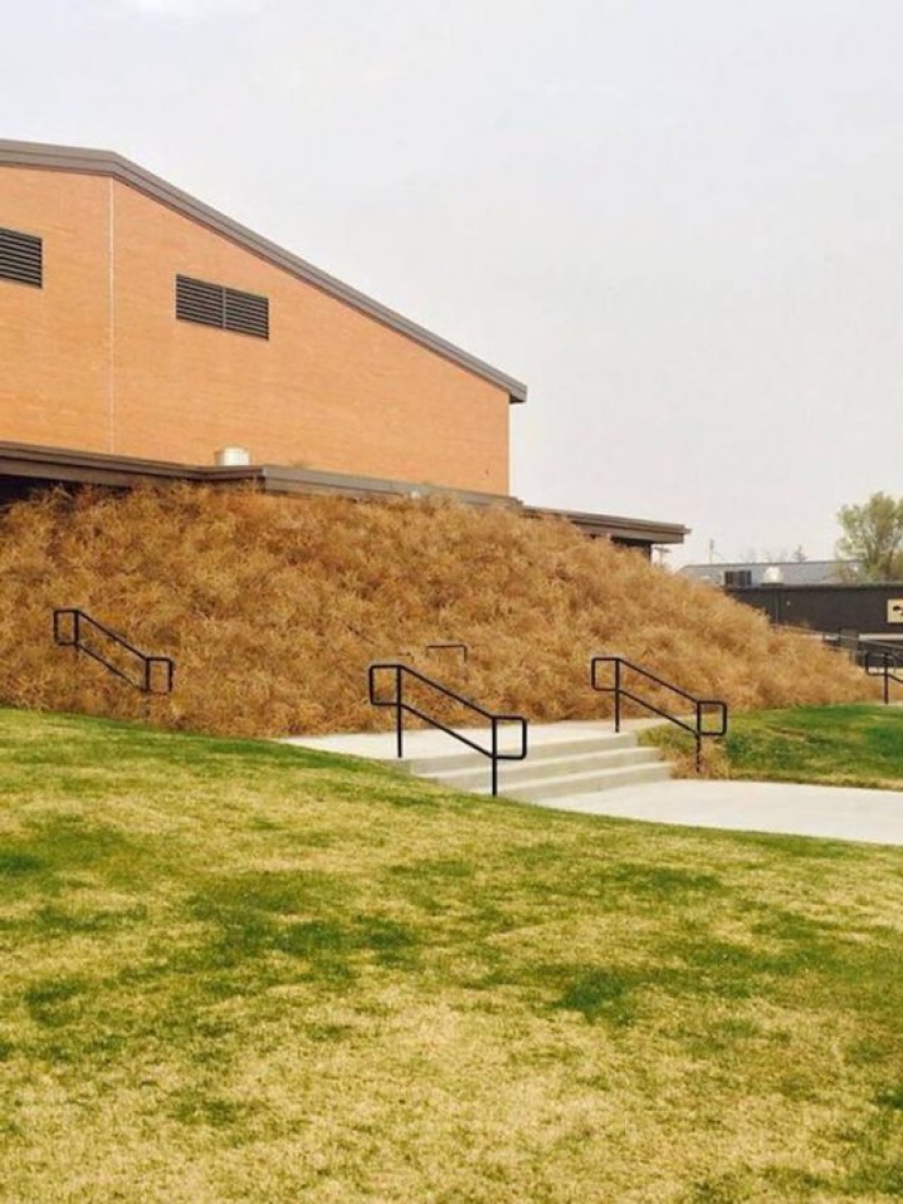 15 photos that prove the wind has a sense of humor