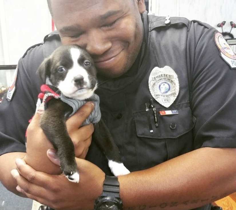 15 photos that will make your day a little better