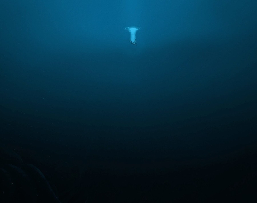 15 pictures, after viewing which you don't put your foot in the water 15 pictures, after viewing which you don't put your foot in the water