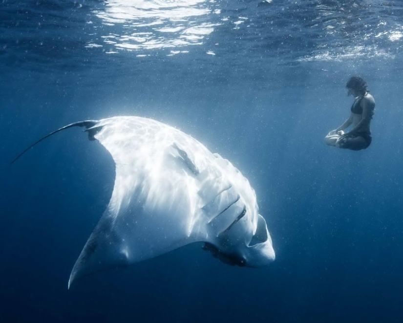 15 pictures, after viewing which you don't put your foot in the water 15 pictures, after viewing which you don't put your foot in the water