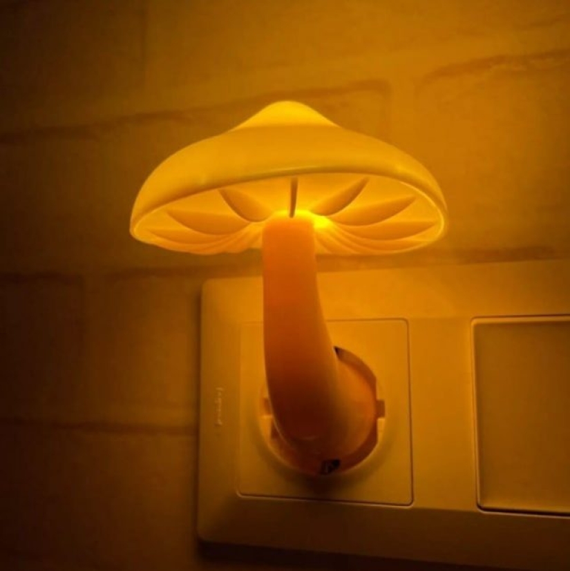 15 products created by smart people