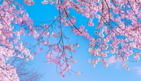 15 Times People Spotted Something Gorgeous In Nature And Had To Share It Online