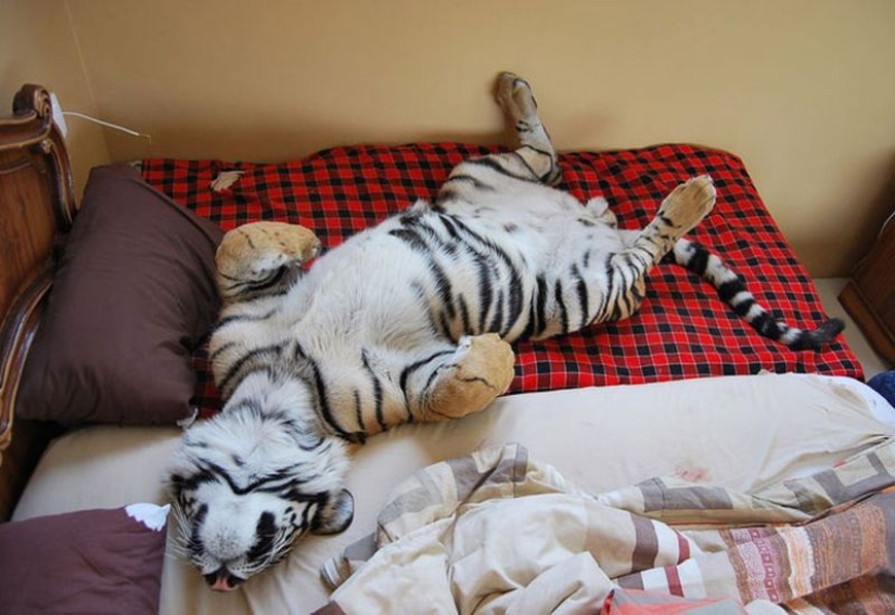 15 trucos para controlar tu cuerpo