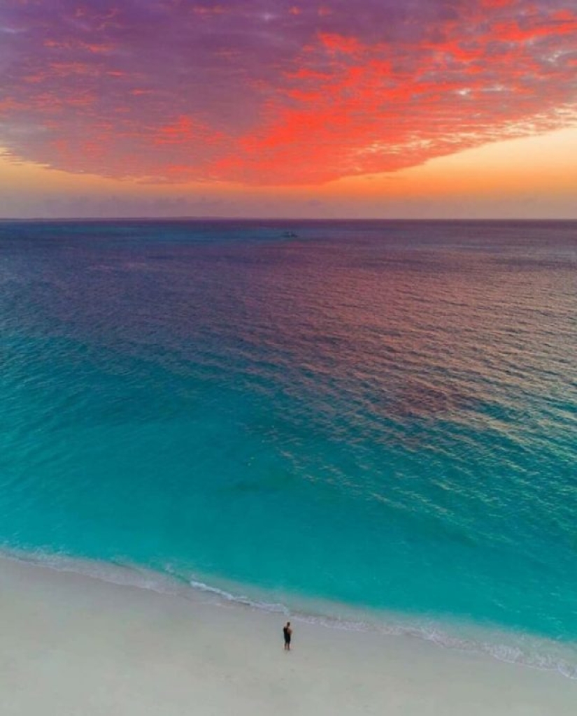 15 veces que la gente vio algo hermoso en la naturaleza y tuvo que compartirlo en línea 15 veces que la gente vio algo hermoso en la naturaleza y tuvo que compartirlo en línea