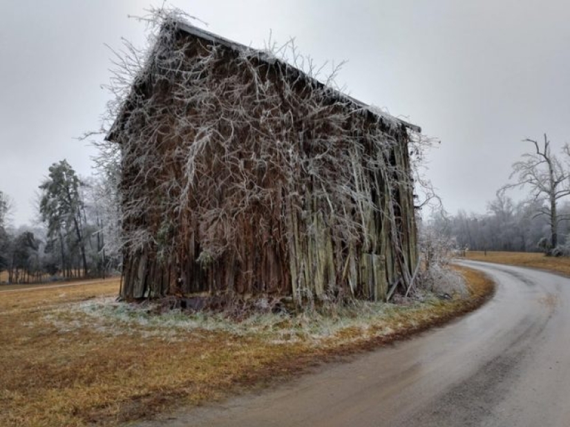 16 Common Things We've Never Seen Before