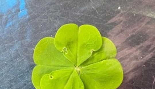 16 Common Things We've Never Seen Before