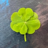 16 cosas comunes que nunca habíamos visto antes