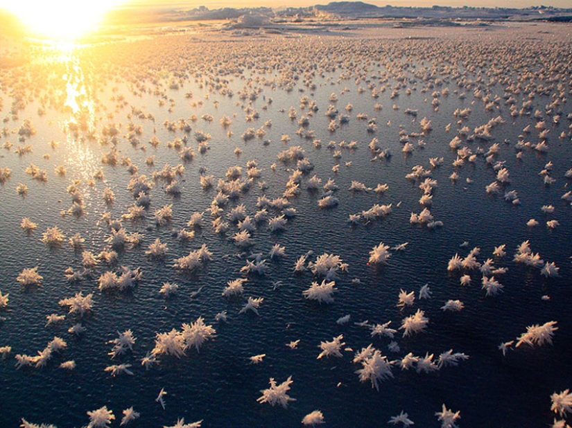 16 estanques congelados que parecen bellas artes