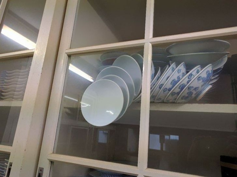 16 examples of people having the best day of their lives