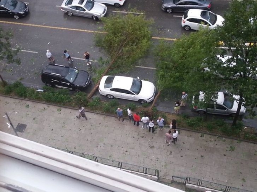 16 examples of people having the best day of their lives