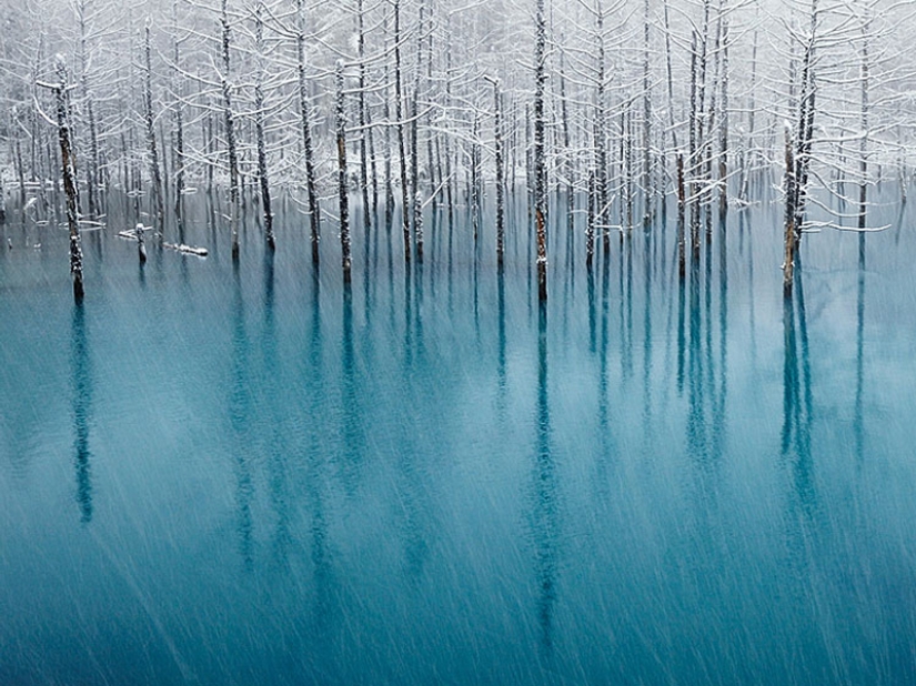 16 Frozen Ponds That Look Like Fine Art
