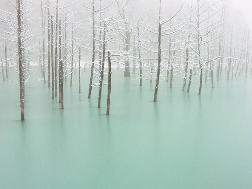 16 Frozen Ponds That Look Like Fine Art