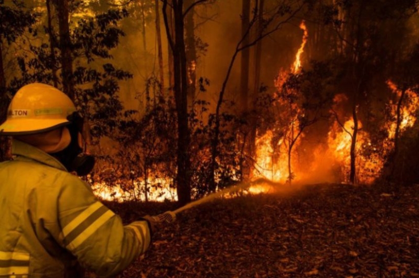 16 shocking photos of what's happening in Australia
