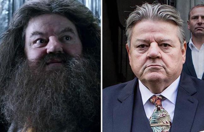 17 años después: lo que los actores de "Harry Potter" están haciendo ahora