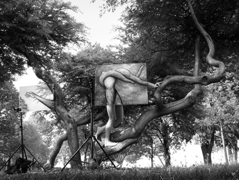 17 artists who blur the line between photography and painting