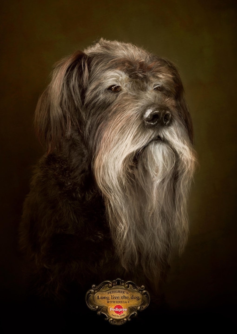 18 advertising campaigns that were recognized as the best in 2017