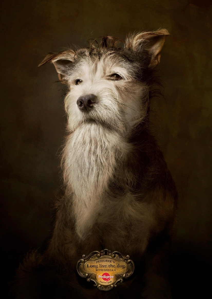 18 campañas publicitarias que fueron reconocidas como las mejores en 2017