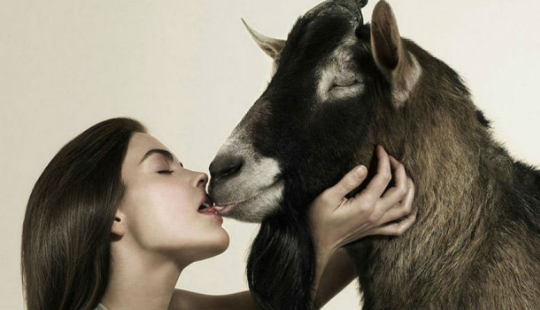 18 masterpieces of anti-tobacco advertising from around the world 18 masterpieces of anti-tobacco advertising from around the world