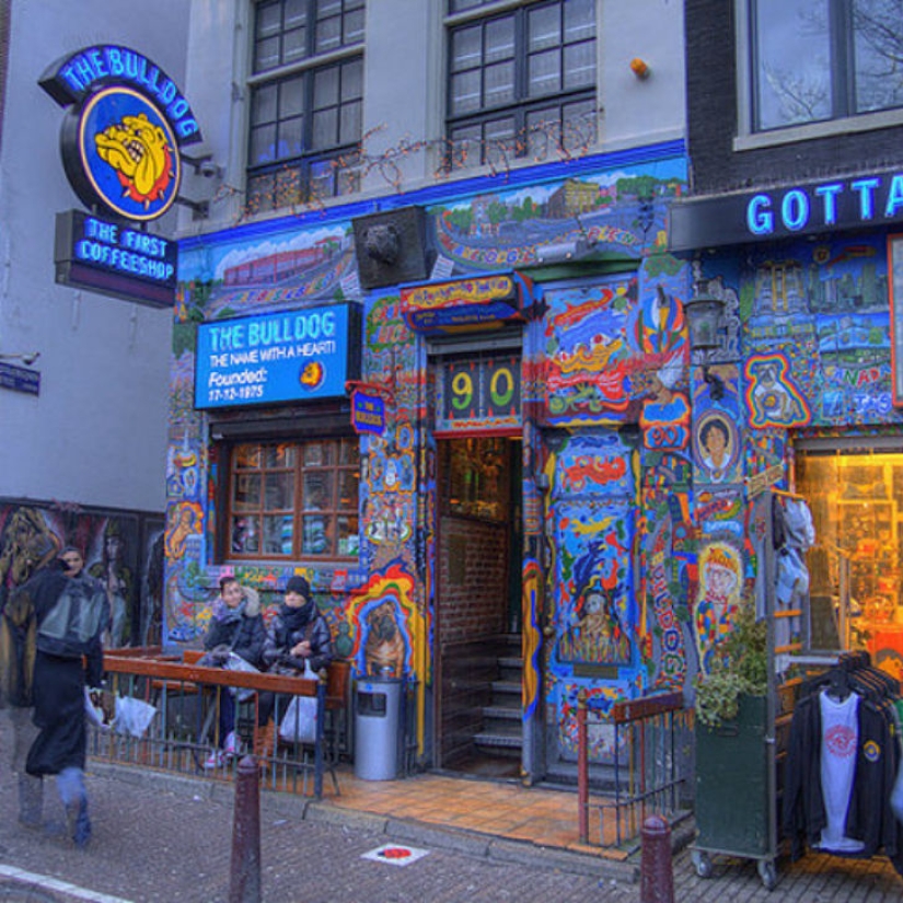 19 reasons to love the Netherlands