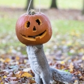 19 tomas increíblemente perfectas