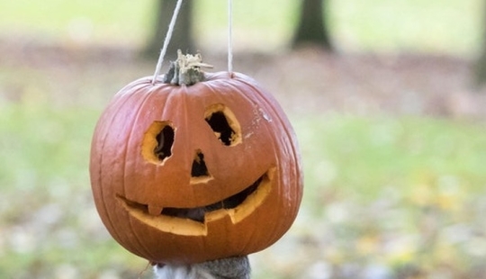 19 tomas increíblemente perfectas