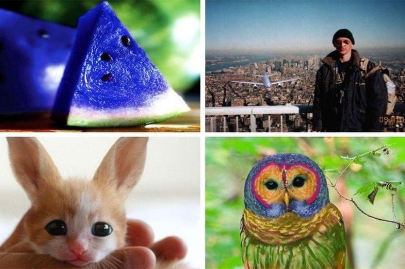 20 falsificaciones de fotos que han volado por todo el mundo