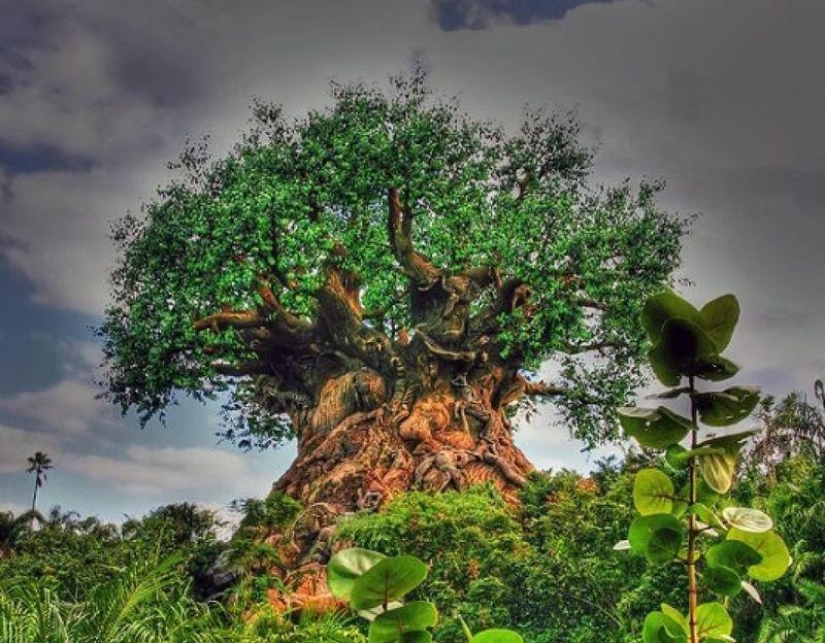 20 falsificaciones de fotos que han volado por todo el mundo