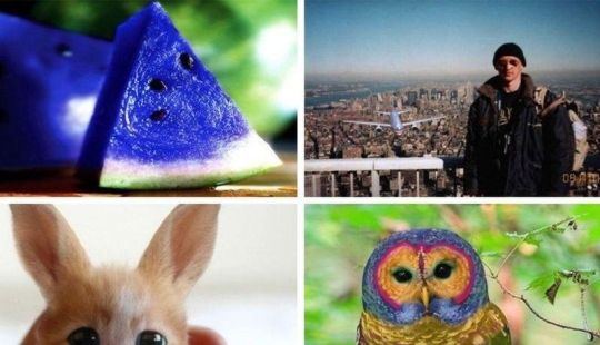 20 falsificaciones de fotos que han volado por todo el mundo