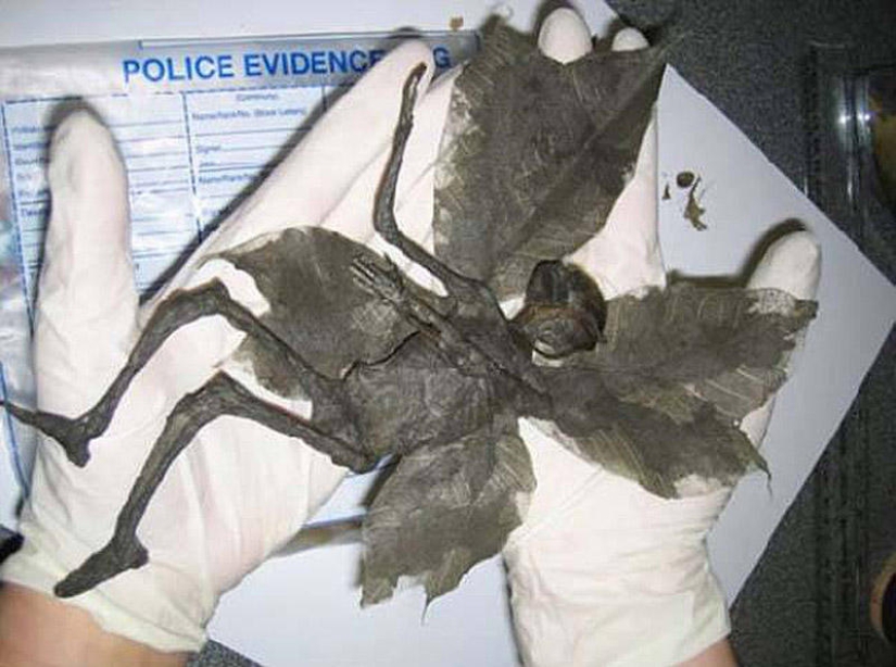 20 falsificaciones de fotos que han volado por todo el mundo