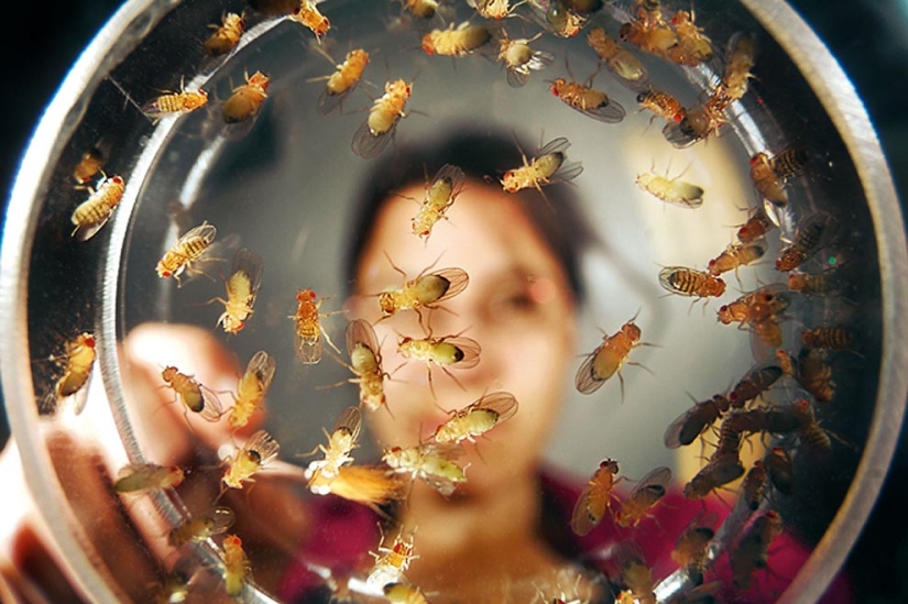 20 formas no estándar de usar vodka