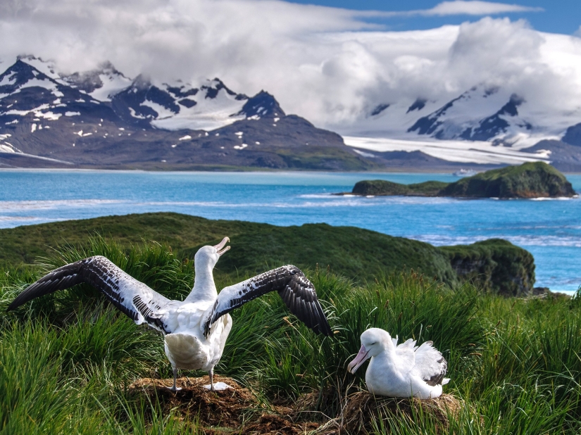 20 fotos que te harán querer visitar la Antártida 20 fotos que te harán querer visitar la Antártida