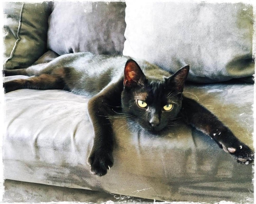 20 fotos sinceras del concurso a la mejor foto del año de Instagram, que tienen un poder especial 20 fotos sinceras del concurso a la mejor foto del año de Instagram, que tienen un poder especial