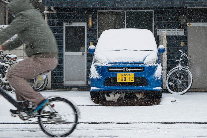 20 frames of street photography that reveal an unknown side of Japan