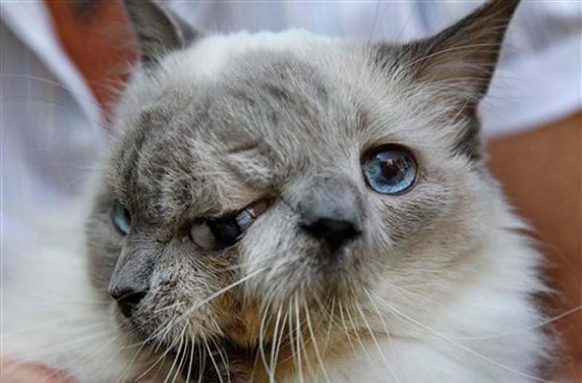 20 images that, no matter how hard it is to believe, are made without photoshop