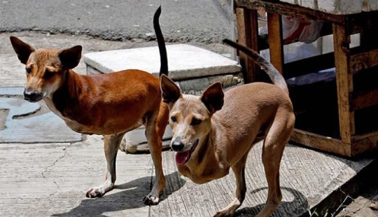 20 images that, no matter how hard it is to believe, are made without photoshop