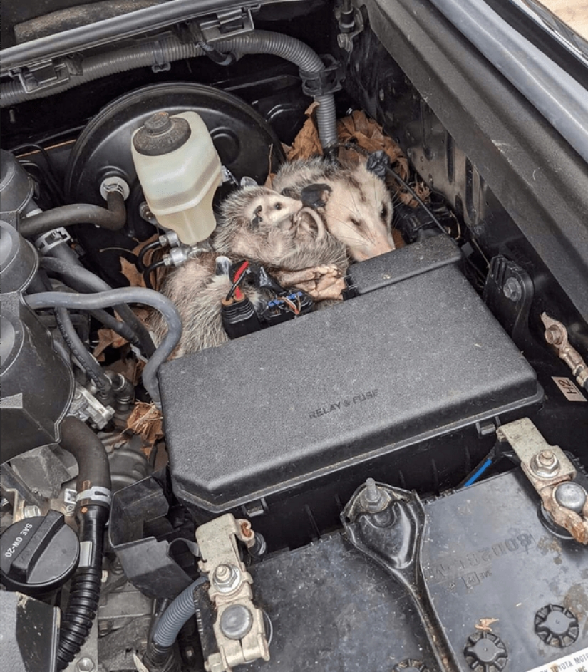 20 people whose quarantine is definitely worse than yours 20 people whose quarantine is definitely worse than yours