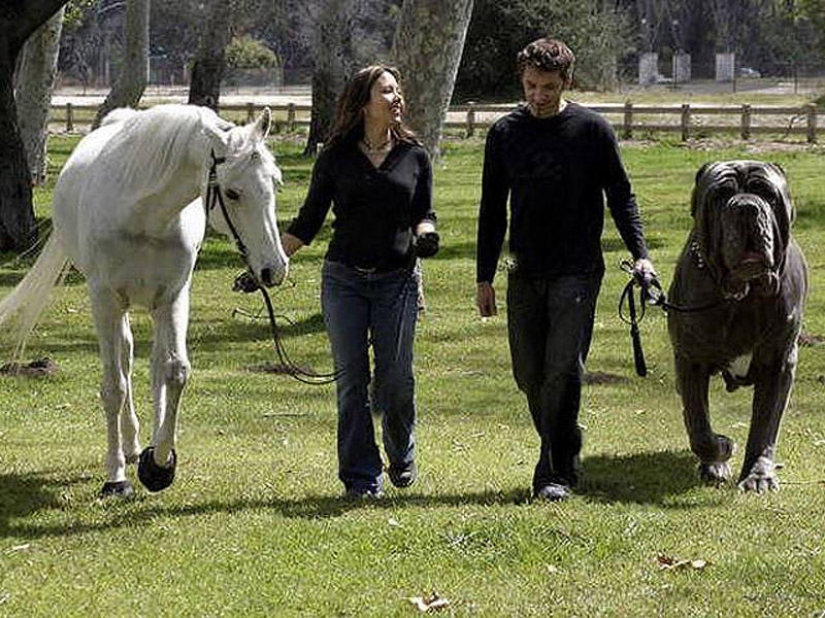 20 photo falsifications that have flown all over the world 20 photo falsifications that have flown all over the world