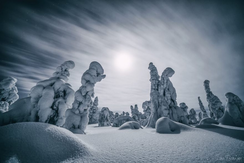 20 reasons why Lapland is the most magical place to celebrate the New Year