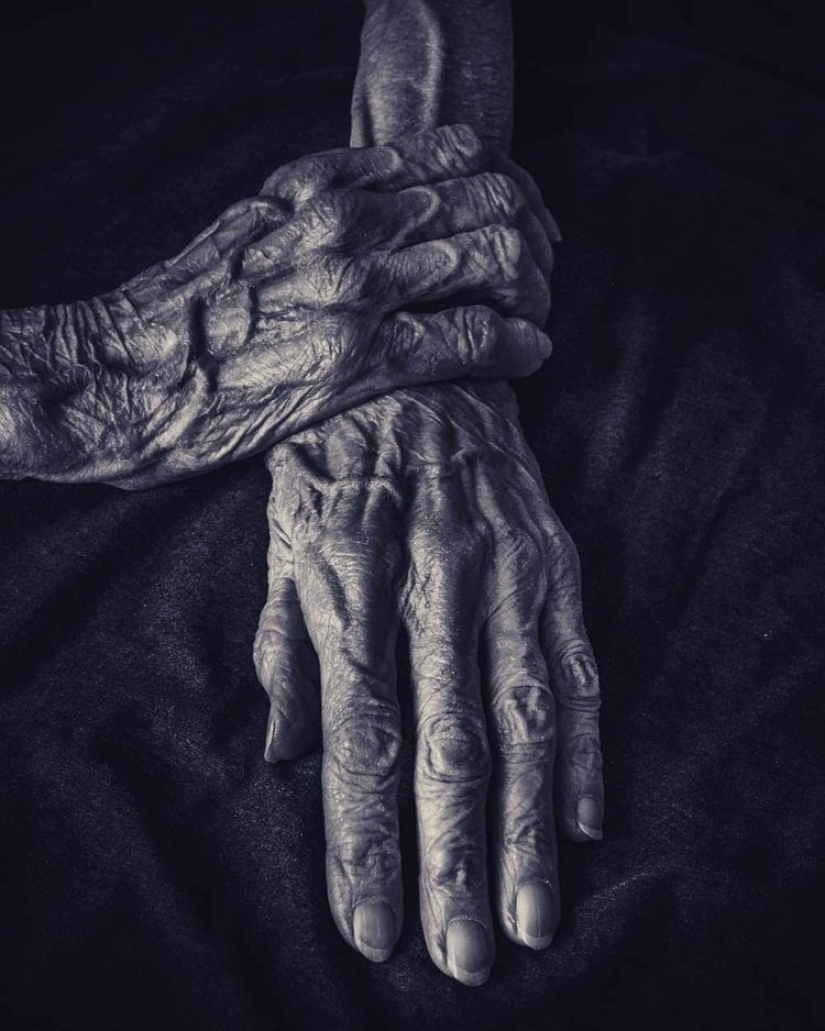 20 sincere pictures from the contest for the best photo of the year from Instagram, which have a special power 20 sincere pictures from the contest for the best photo of the year from Instagram, which have a special power