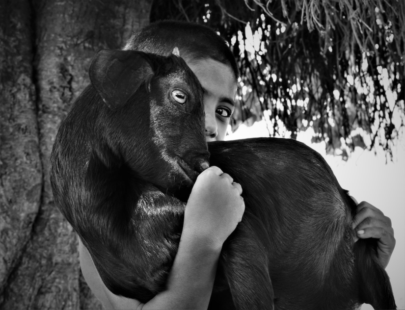 20 stunning pictures of the finalists of the Sony World Photography 2018 photo contest