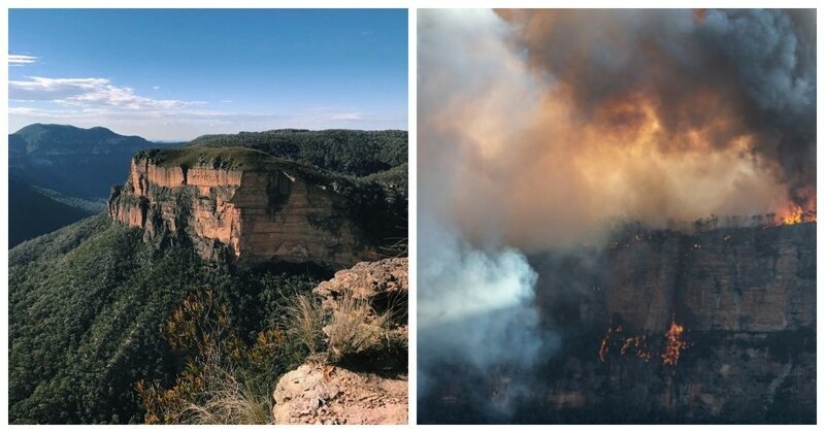 21 fotos que muestran las secuelas de los terribles incendios forestales en Australia 21 fotos que muestran las secuelas de los terribles incendios forestales en Australia
