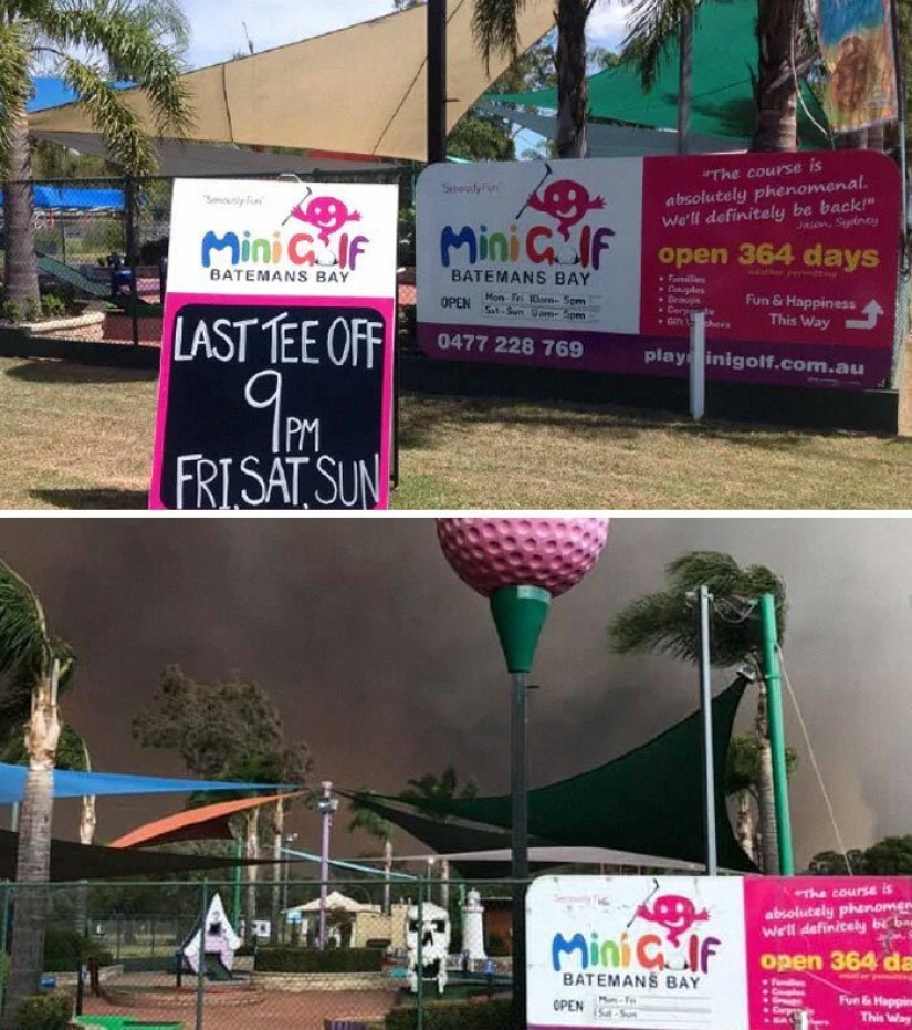 21 fotos que muestran las secuelas de los terribles incendios forestales en Australia 21 fotos que muestran las secuelas de los terribles incendios forestales en Australia