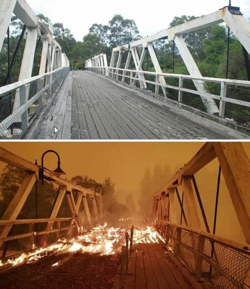 21 fotos que muestran las secuelas de los terribles incendios forestales en Australia 21 fotos que muestran las secuelas de los terribles incendios forestales en Australia