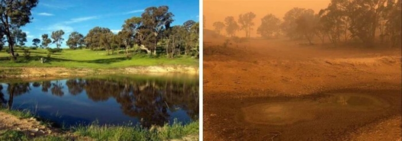 21 fotos que muestran las secuelas de los terribles incendios forestales en Australia 21 fotos que muestran las secuelas de los terribles incendios forestales en Australia