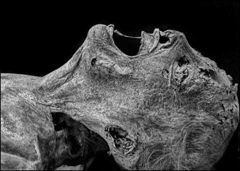 21 hechos históricos de los que no te hablaron en la escuela